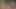 Girl takes out guys cock outside and gives him a blowjob then fucks