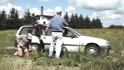 Polnische Huehnerficker