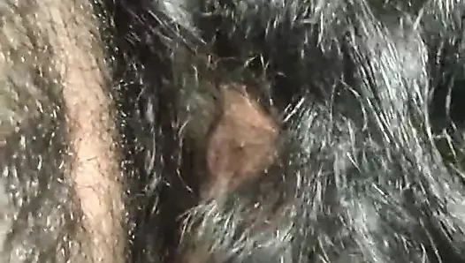 Desi telgu bhabi gece sert seks içinde hajbent pat4