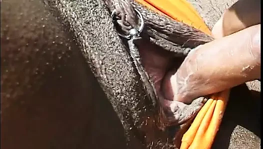 Mükemmel zenci kızlar açık havada siyah erkeklere amlarını yalatıyor