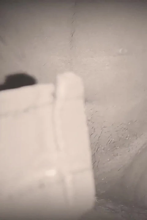 Üvey kız kardeş desi video Hintli xxx