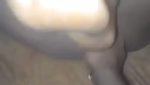 Wambatu hutti
