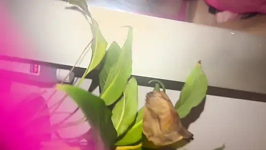 Yarağa binmeyi seviyorum