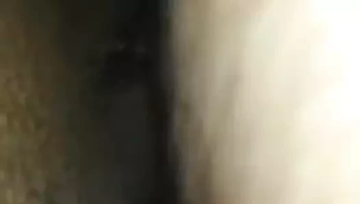 Aşırı yakın yukarı olgun kedi kahrolası