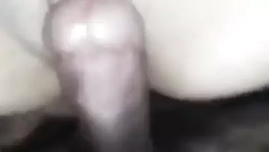 Maori kedi yakın çekim