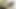M952G10 genç bir et sopası seksi edepsiz olgun bir kadın tarafından atıldığı ve sperm sıkıldığı seksi suçluyor!