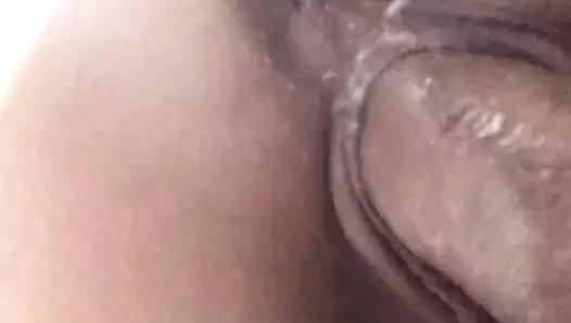 ıslak KEDİ yakın çekim amatör