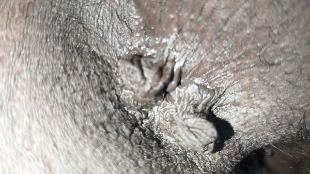 Hintli kadının götü yakın çekim