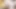 Bazı özel videoları yeni yükledim