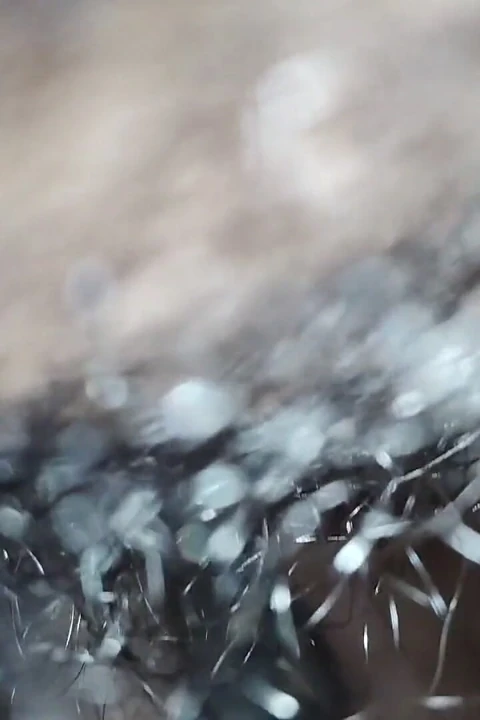 Oğlu Oynarken Komşu Yengeyi Sikiyor.bölüm 2