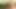 Irklararası orta yaşlı seksi kadınlar büyük götlü sahne 1_blonde, ev hanımı sert bir ırklararası sikişiyor