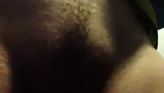 ıslak ıslak ıslak kıllı KEDİ