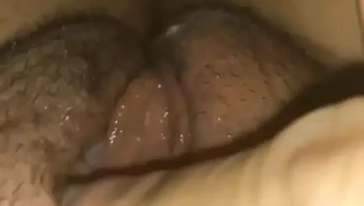 Yakın yukarı kedi mastürbasyon