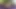 4K'da tam uzunlukta ultra hd versiyon et renkli çoraplı orijinal solo selfie'nin süper net kopyası