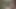 Sumiko tavşan 3d animasyon - büyük memeli masaj inliyor, sıkı amcık parmaklıyor, amcık yalama sansürsüz hentai'de fışkırtıyor