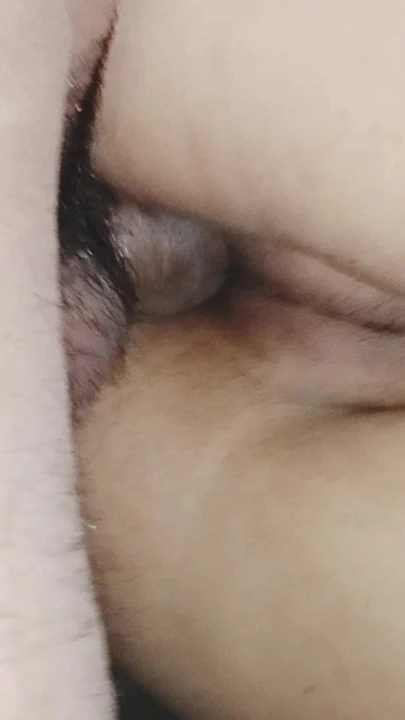 Büyük memeli amcık