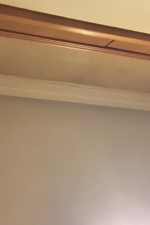 Suck My Big Tits