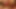 Nicole Aniston en sevdiği büyük yaraklı aygırı sert, anlamsız seks için çağırıyor