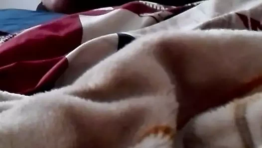 Yüksek kalite 0004 (güney afrika mzansi kasi)