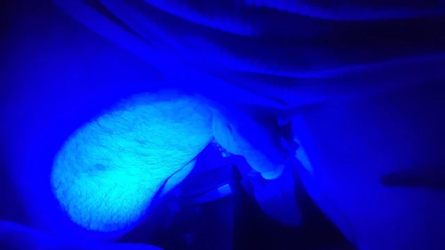 Tatil ruhu içinde kriko yapmak