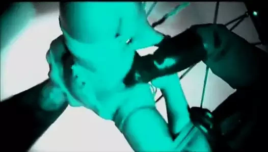 Bal arısı tarafından rüyaların rüyasını hissedin