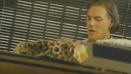 Brittany andrews yüz en sonunda