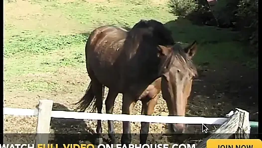 Kızgınlık dönemindeki bir fahişenin anal arzuları