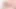 Cougar