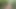 Azgın küçük cüce üvey erkek kardeşimi bana evde yardım ettiğin için ödüllendirmek için sert sikiyorum.