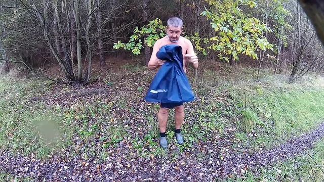 Мокрый день в лесу