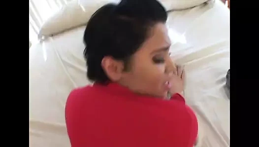 American Lovers Vol.1