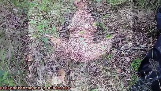 Tembel bir pazar günü dışarıda oynamayı seviyorum