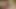 Bu lezbiyenler doğadayken dildoyla birbirlerini sikiyor
