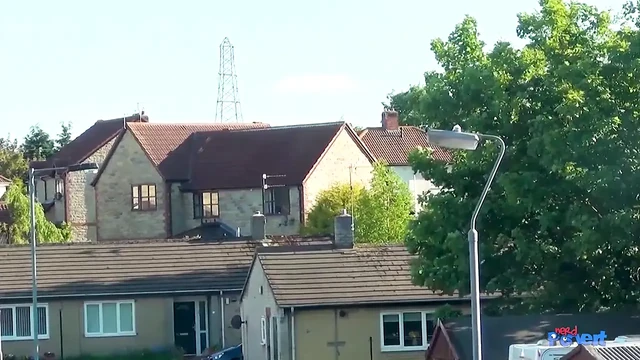 Belle ohara jogger porno çekiyor