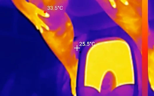 Ayak tabanları parlak sikilebilir termik bakış açısına kadar yer alıyor, sikiliyor ve yağlanıyor