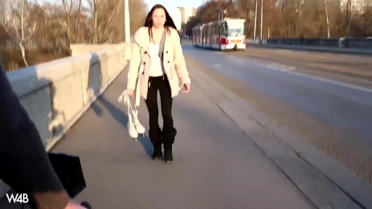 Ice Skater