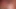 Fransız hatun missguapa amında pembe bir dildoyla oynuyor