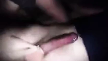 Pooh-c - lanet olası şipşak (kamp)