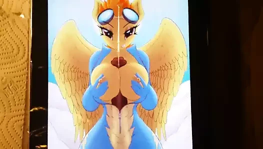 Spitfire futa baştankara iş isteği
