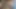 Yeni bekaret kafesi ve oyuncaklar.