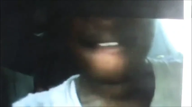 Senegalli ile bir çok ıslak kedi