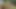 Risky Forest Bath Quickie - Almost Caught Fucking
