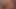 Hot Transgender Babe Strokes her small Dick while sucking a Dildo. Then cums while Riding it