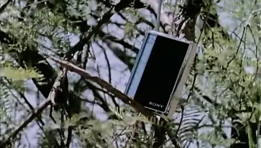 Zıplayan göğüsleri içinde dans eden kızlar derleme (1960'lar vintage)