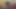 Ben ve karım bir porno videosu çekmek istedik