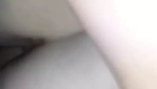 Raw köpek kahrolası victoria