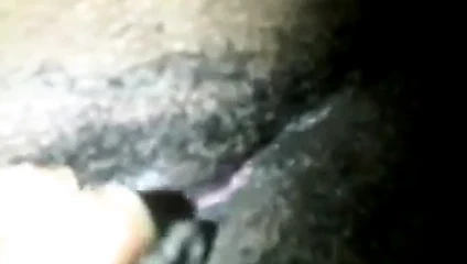 Kaza playin beyaz kedi