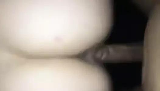 köpek köpek karısı