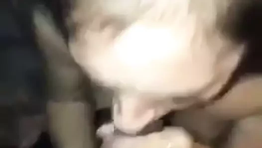 kar tavşanı öğreniyor