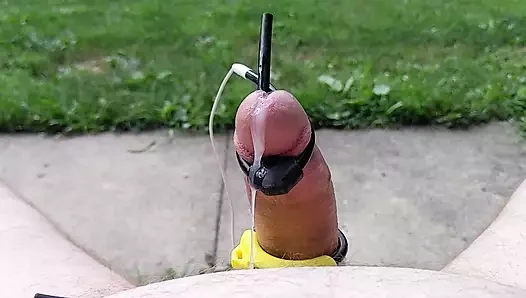 açık twinks - tahmin